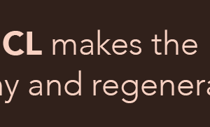 Didier Lab Esthétique Vippe løft KIT - 3x10