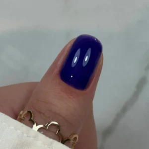 Didier Lab Builder Gel in bottle BBIO- Blue Berry. 15ml.