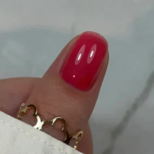 Didier Lab Builder Gel in bottle BBIO- Rose Glass. 15ml.