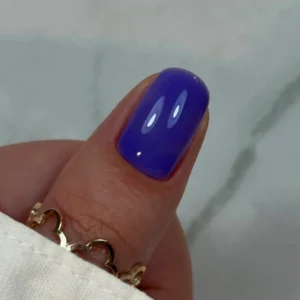 Didier Lab Builder Gel in bottle BBIO- Violet Iris. 15ml.